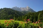 Balkonblick-1