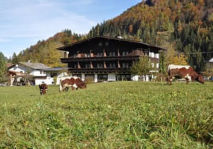 Unterhausbachhof Ellmau 5