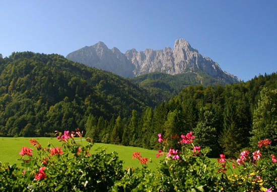 Natur genießen